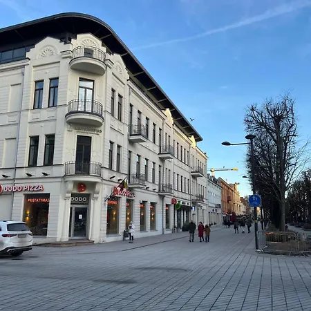 Butas Maironio Apartamentai Laisve